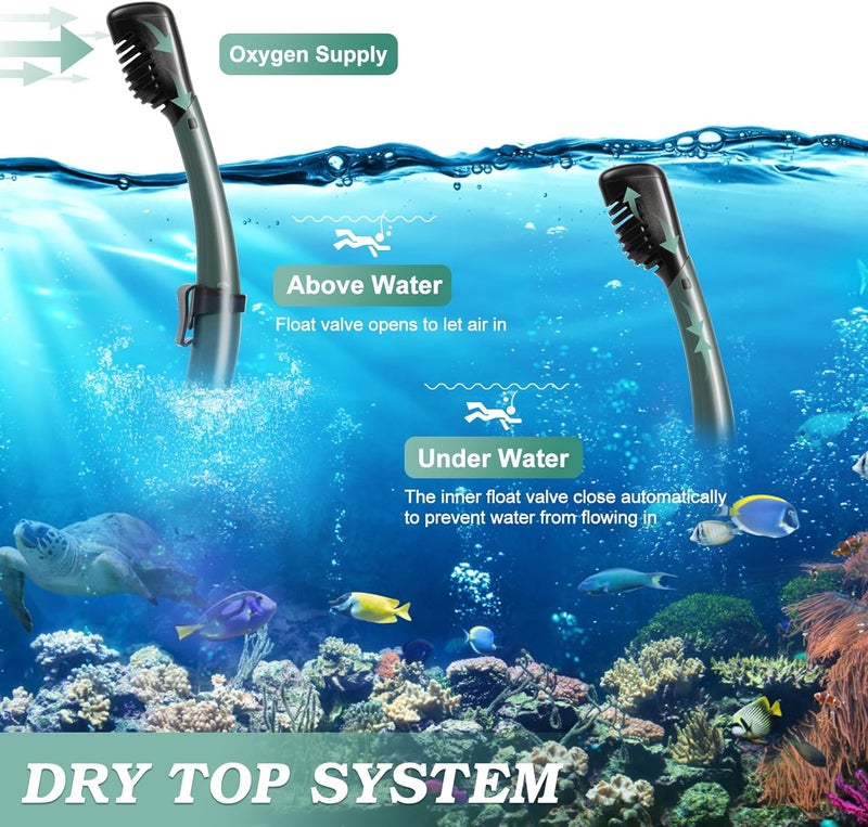 ACQCES Snorkeling Gear for Adults, Dry Top Snorkel Mask Set 2 Pack Scuba Diving Mask Snorkel Gear Anti Fog Snorkeling Packages Tempered Glass Panoramic View Nose Cover - Image 3